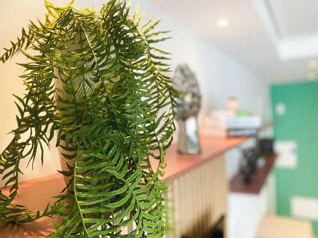 Unique 22º Estudio C/ Vista Incrivel Em Sp Vaga E Wifi Сан-Пауло Экстерьер фото